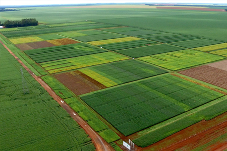 Fundações voltadas ao agronegócio